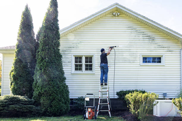 Best Graffiti Removal  in Coshocton, OH
